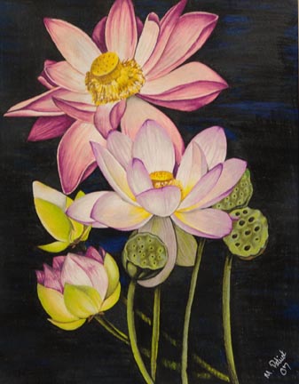 Meghan/lotus.jpg